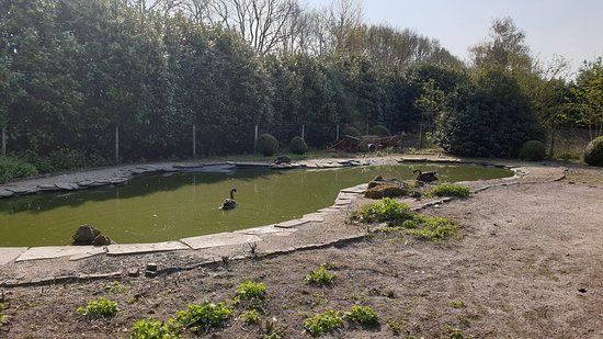 het Vogelpark De Lorkeershoeve