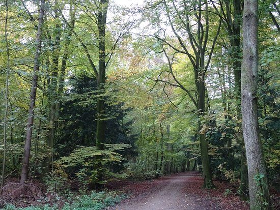 Boswachterijen