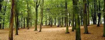 Landgoed Vilsteren