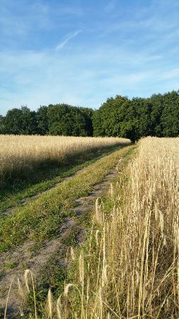 Camping Het Reestdal