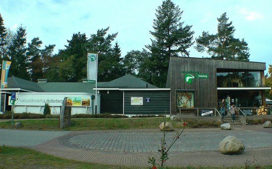 de Stichting Natuurdiorama Holterberg