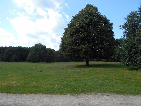 het Schelfhorstpark